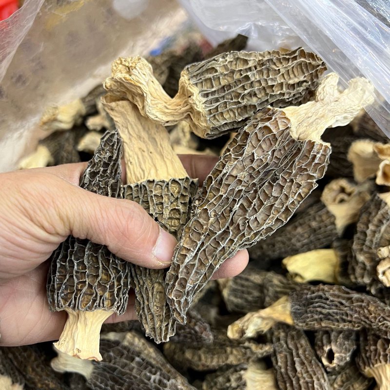 云南干货批发
